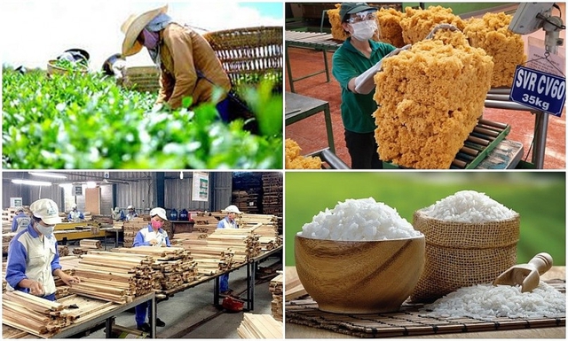8 tháng, xuất khẩu nông lâm thủy, hải sản đạt 45,37 tỷ USD- Ảnh 1. 8 tháng, xuất khẩu nông lâm thủy, hải sản đạt 45,37 tỷ USD- Ảnh 1.