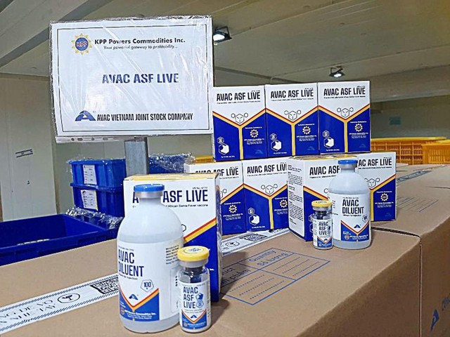 Việt Nam xuất khẩu 340.000 liều vaccine dịch tả lợn châu Phi sang Philippines- Ảnh 1. Việt Nam xuất khẩu 340.000 liều vaccine dịch tả lợn châu Phi sang Philippines- Ảnh 1.