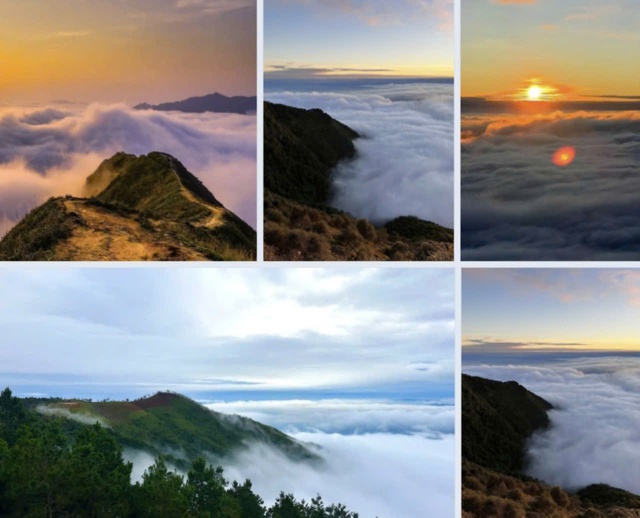 Về Sơn La, ghé đỉnh Tà Xùa- Ảnh 5.