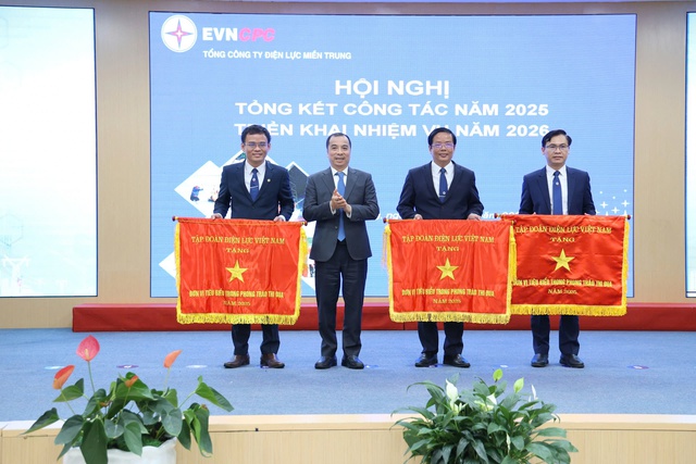 EVNCPC: Bảo đảm cung cấp điện phục vụ phát triển kinh tế xã hội miền Trung - Tây Nguyên- Ảnh 4.