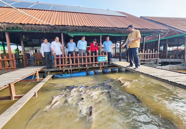 Khảo sát du lịch cộng đồng Cồn Sơn- Ảnh 2.