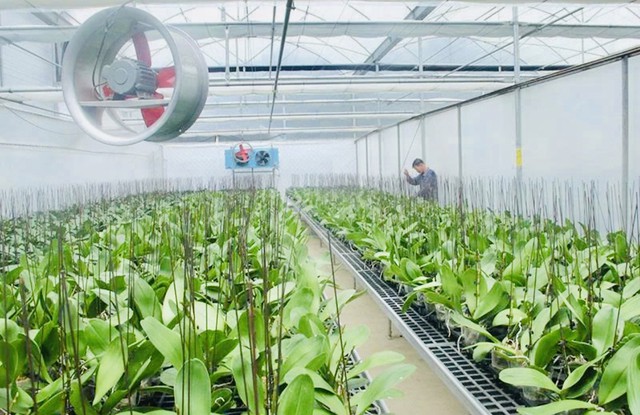 Thanh Hóa thúc đẩy chuyển đổi số từ sản xuất đến tiêu thụ nông sản- Ảnh 1.