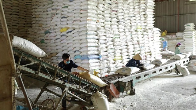 Cục Dự trữ Nhà nước dự kiến nhập kho 420.000 tấn lương thực trong năm 2026- Ảnh 1.