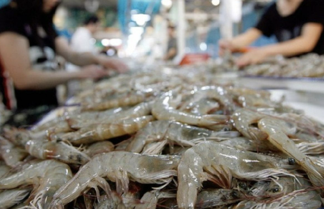 Năm 2025, Trung Quốc vẫn là thị trường nhập khẩu tôm lớn nhất của Việt Nam- Ảnh 1.