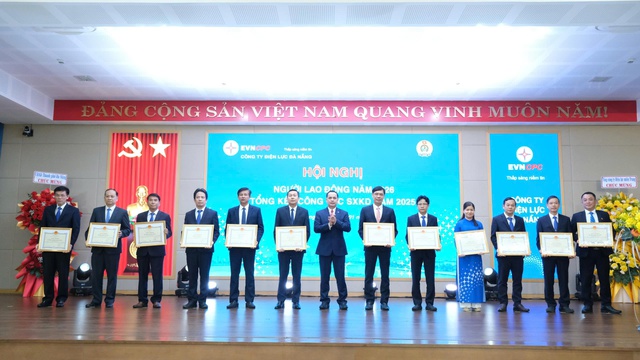 PC Đà Nẵng: Đảm bảo cung ứng điện phục vụ phát triển kinh tế xã hội- Ảnh 4.