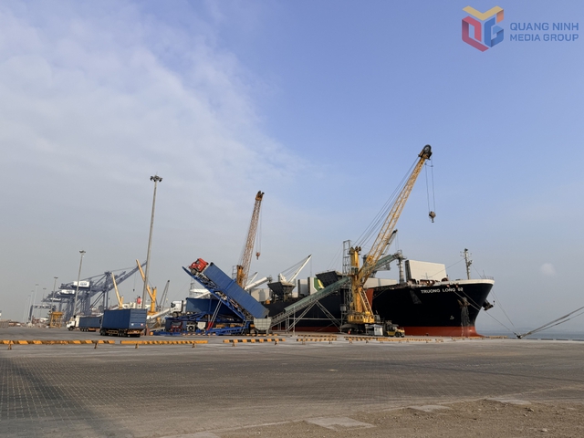 Quảng Ninh: Năm 2025, sản lượng hàng hóa thông qua hệ thống cảng biển đạt trên 161 triệu tấn- Ảnh 1. Quảng Ninh: Năm 2025, sản lượng hàng hóa thông qua hệ thống cảng biển đạt trên 161 triệu tấn- Ảnh 1.