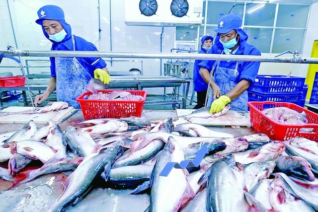 Cơ hội cho cá tra mở rộng trên thị trường quốc tế vào năm 2026- Ảnh 1.