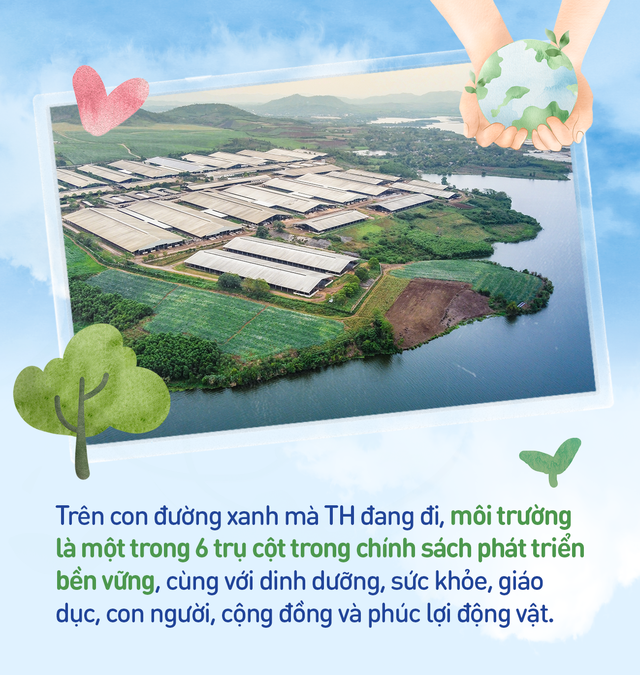 Tập đoàn TH để lại dấu ấn trong cộng đồng bằng chiến dịch 'Thu gom vỏ hộp - Lan tỏa sống xanh 2025'
- Ảnh 6. Tập đoàn TH để lại dấu ấn trong cộng đồng bằng chiến dịch 'Thu gom vỏ hộp - Lan tỏa sống xanh 2025'
- Ảnh 6.