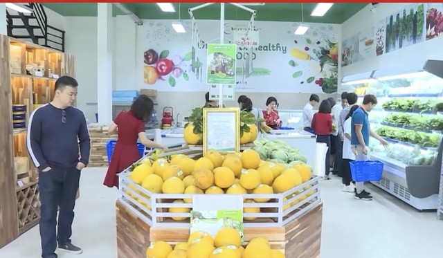 Thanh Hóa: Xây dựng chuỗi giá trị nông nghiệp bền vững- Ảnh 1.