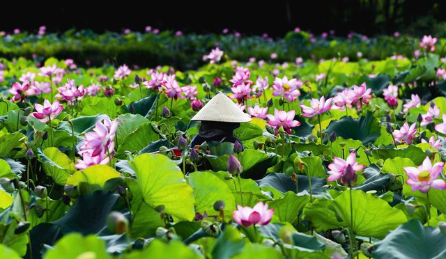 Xã Duy Xuyên: Nối mạch truyền thống, mở không gian phát triển mới - Ảnh 4.