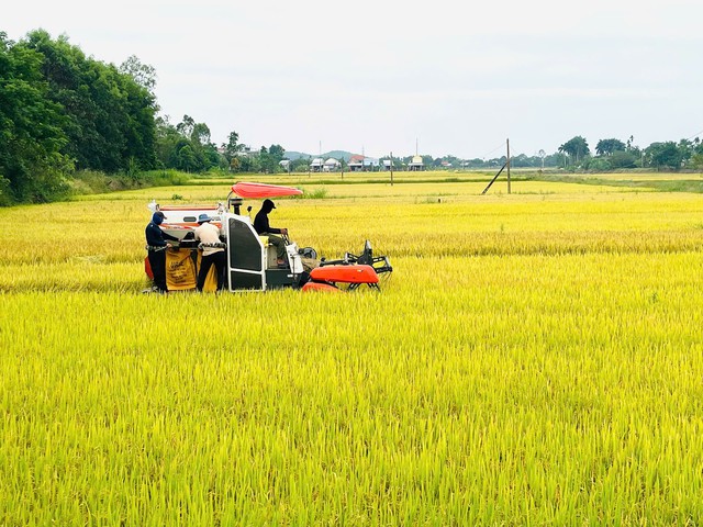 Xã Duy Xuyên: Nối mạch truyền thống, mở không gian phát triển mới - Ảnh 3.