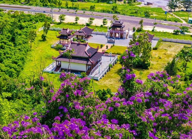 Sắc bằng lăng trên vùng đất anh hùng- Ảnh 3.