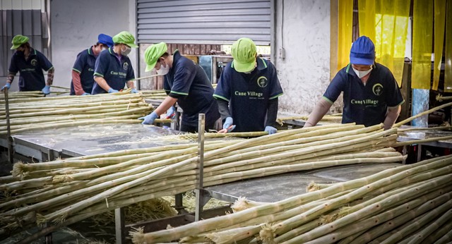 Cận cảnh quy trình "đóng băng" cây mía tươi xuất ngoại- Ảnh 2.
