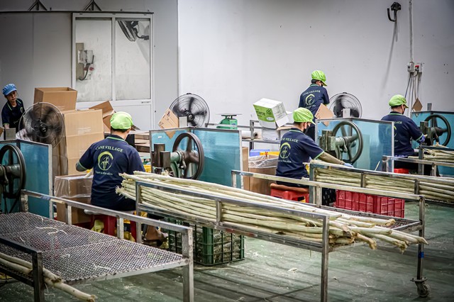 Cận cảnh quy trình "đóng băng" cây mía tươi xuất ngoại- Ảnh 3.