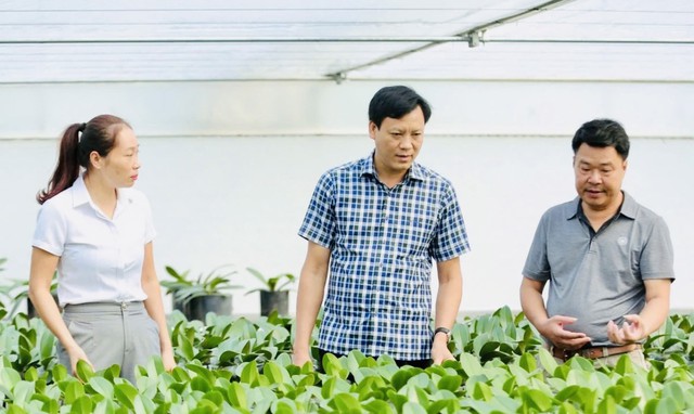 Người nông dân Thanh Hóa: Từ đổi mới tư duy đến làm chủ sản xuất - Ảnh 2.