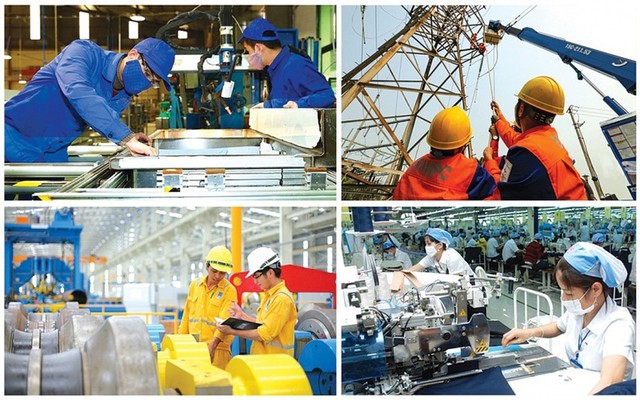 TP.HCM giữ nguyên vốn Nhà nước tại 11 doanh nghiệp- Ảnh 1.