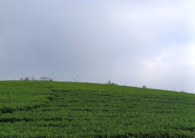 Thái Nguyên;
" Đại Phúc – Điểm đến du lịch xanh"- Ảnh 1.