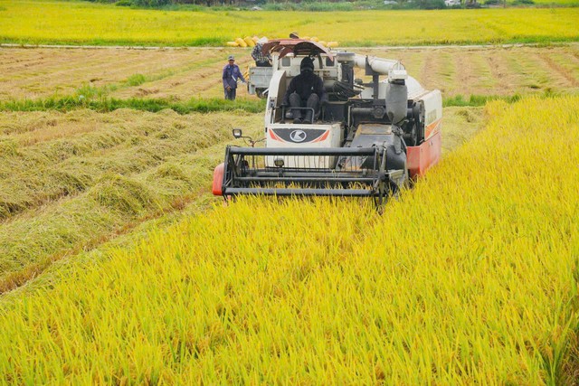 Xã Duy Xuyên: Khơi thông nguồn lực, nâng cao chất lượng cuộc sống người dân - Ảnh 1.