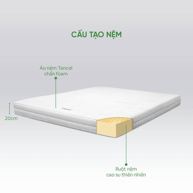 Mua nệm online cần kiểm tra những thông tin nào trước khi đặt hàng? - Ảnh 1.