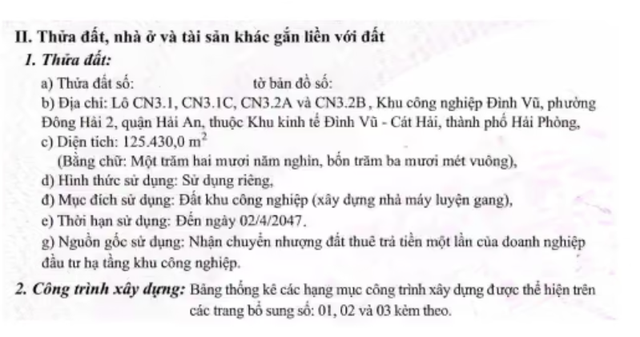 MB rao bán nhà máy luyện gang rộng hơn 12 ha tại Hải Phòng để thu hồi nợ, giá khởi điểm gần 302 tỷ đồng - Ảnh 1.