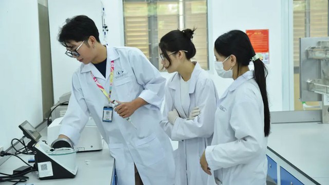 Đề xuất miễn thuế thu nhập cá nhân 5 năm và cấp Thị thực nhân tài Việt Nam- Ảnh 1.