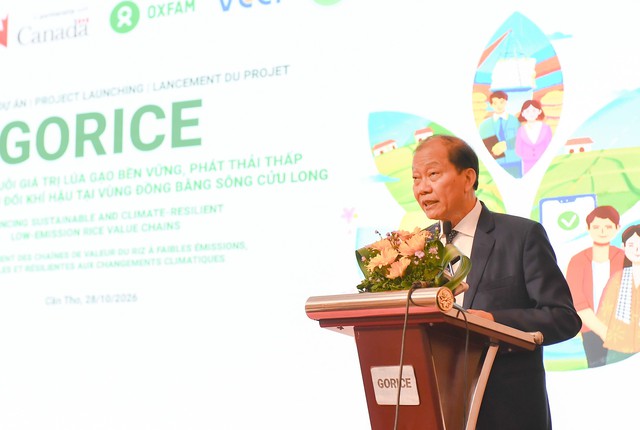 Khởi động Dự án GORICE hướng tới chuỗi giá trị lúa gạo chất lượng cao, phát thải thấp- Ảnh 2.