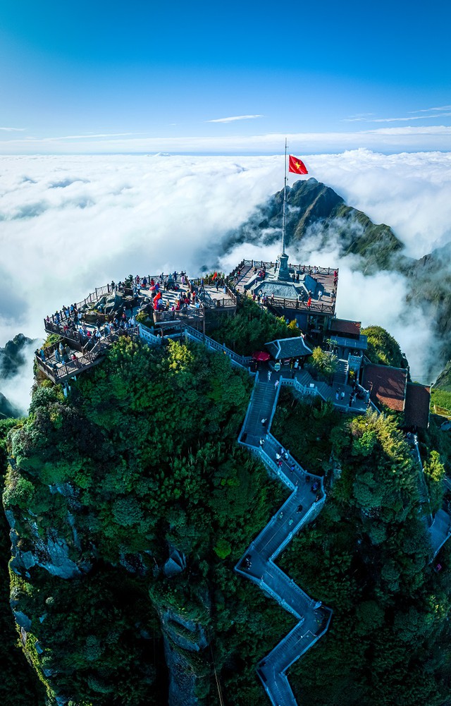 Fansipan hút hồn du khách bởi thiên đường hoa tam giác mạch và xác pháo tím - Ảnh 9.