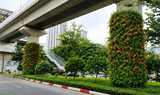 Hà Nội: Thí điểm phủ cây xanh trụ cầu, hầm chui - Ảnh 1.