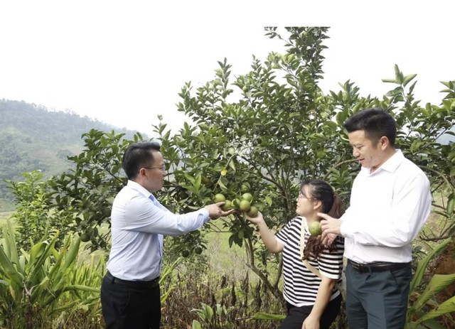 Thanh Hóa: Đổi thay diện mạo vùng khó khăn nhờ giảm nghèo bền vững- Ảnh 1.