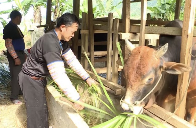 Thanh Hóa: Đổi thay diện mạo vùng khó khăn nhờ giảm nghèo bền vững- Ảnh 2.