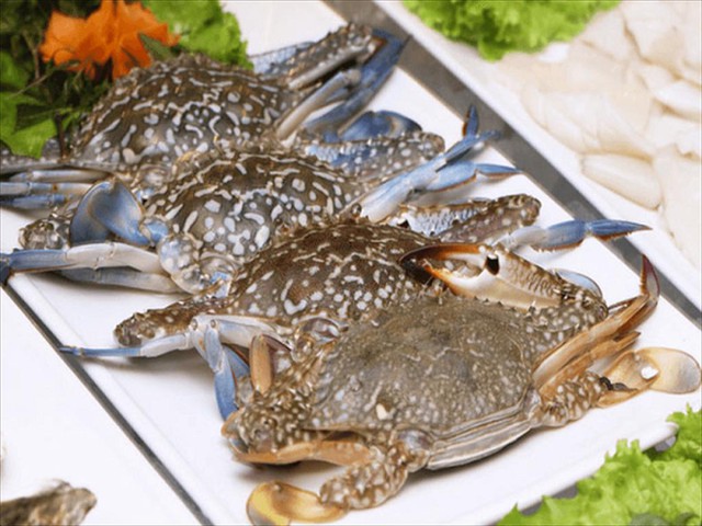 Xuất khẩu ghẹ tăng tốc nhưng áp lực tái cấu trúc thị trường ngày càng rõ nét- Ảnh 1.