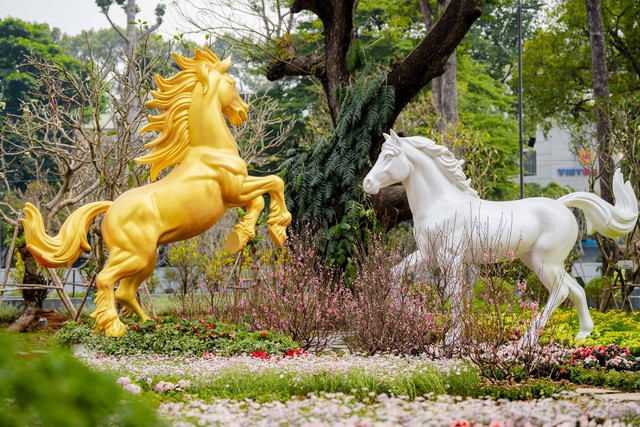 Khoảng lặng xanh đặc biệt ở công viên số 1 Lý Thái Tổ và nỗ lực giữ từng gốc cây cho thành phố- Ảnh 5.