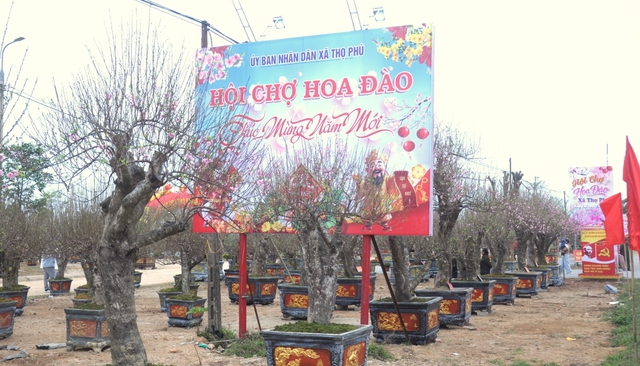 Thanh Hóa: Khai mạc Hội chợ Hoa đào xã Thọ Phú mừng Xuân Bính Ngọ 2026- Ảnh 1.