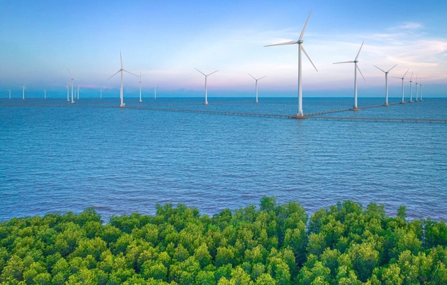 Cà Mau điều chỉnh Quy hoạch tỉnh tầm nhìn đến năm 2050- Ảnh 2.