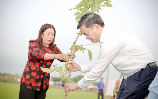 TP Cần Thơ phát động Tết trồng cây năm 2026- Ảnh 6.