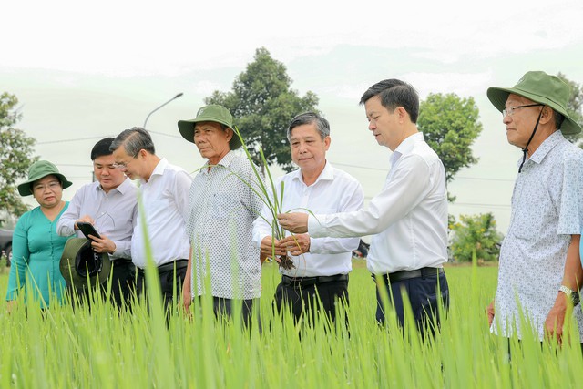 TP Cần Thơ phát động Tết trồng cây năm 2026- Ảnh 5.