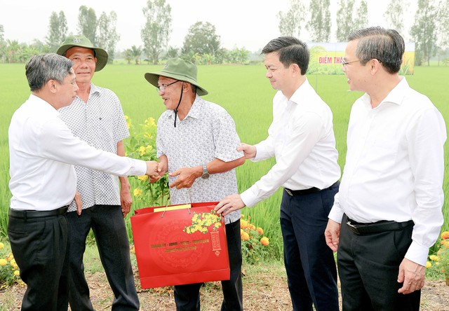 TP Cần Thơ phát động Tết trồng cây năm 2026- Ảnh 4.