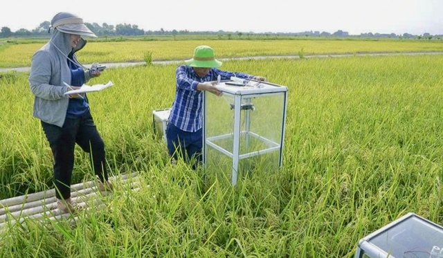 Nông nghiệp Thanh Hóa mở khóa giá trị xanh- Ảnh 2. Nông nghiệp Thanh Hóa mở khóa giá trị xanh- Ảnh 2.