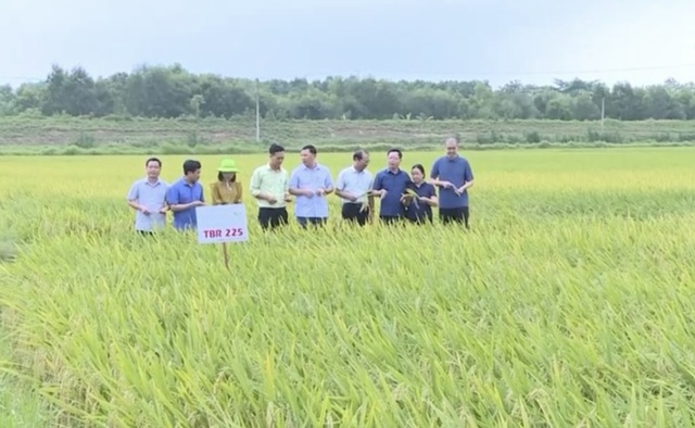 Nông nghiệp Thanh Hóa mở khóa giá trị xanh- Ảnh 1. Nông nghiệp Thanh Hóa mở khóa giá trị xanh- Ảnh 1.