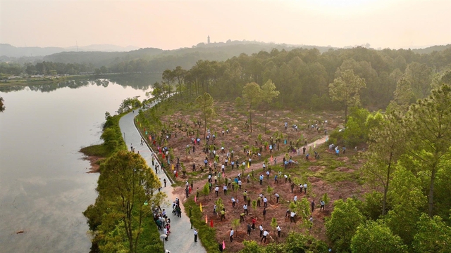 TP Huế: “Tết trồng cây đời đời nhớ ơn Bác Hồ” -  tạo nền tảng tăng trưởng xanh, phát triển bền vững- Ảnh 1.