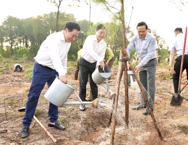 TP Huế: “Tết trồng cây đời đời nhớ ơn Bác Hồ” -  tạo nền tảng tăng trưởng xanh, phát triển bền vững- Ảnh 2.