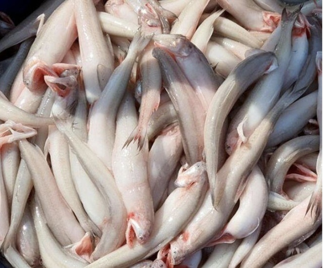 Loại cá “mềm như cháo”  đến đặc sản đắt đỏ gây sốt sau dịp Tết- Ảnh 1.