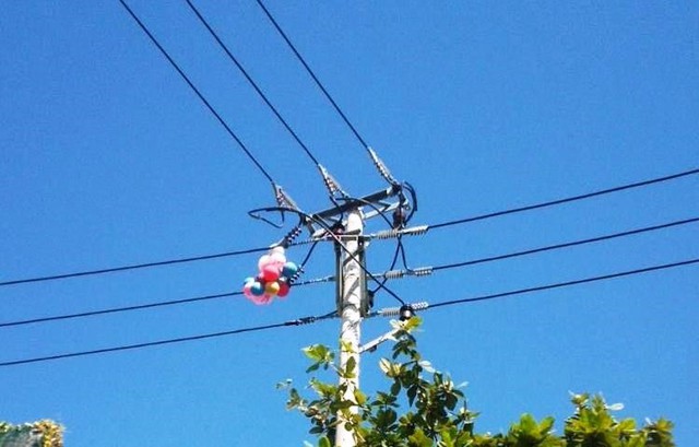 PC Đà Nẵng: Khuyến cáo an toàn điện ngày Tết- Ảnh 2.