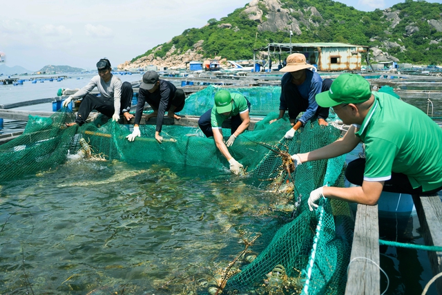 KLC Group và chiến lược tham gia chuỗi giá trị thủy hải sản trong hợp tác Việt – Trung- Ảnh 2.