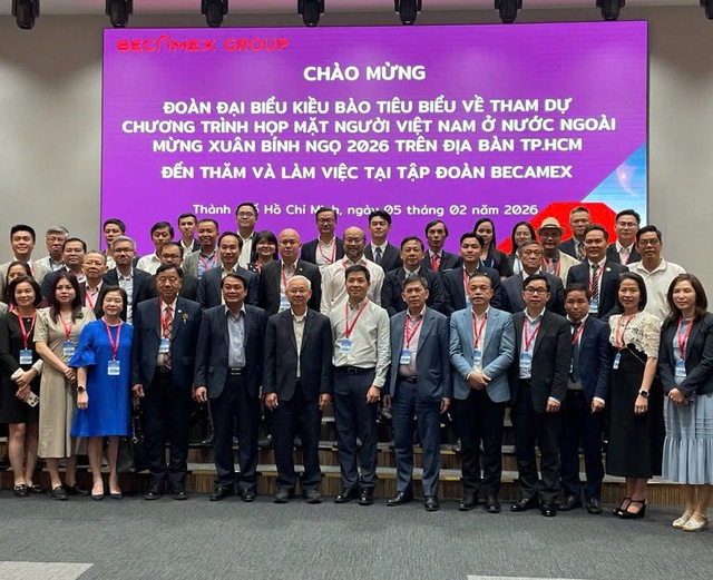 TP.HCM: Tìm cơ chế hợp tác cùng phát triển với kiều bào từ kiều hối đến chất xám- Ảnh 2.