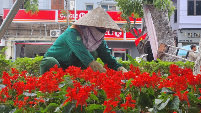 Hải Phòng rực rỡ sắc xuân trước thềm năm mới Bính Ngọ 2026- Ảnh 1.