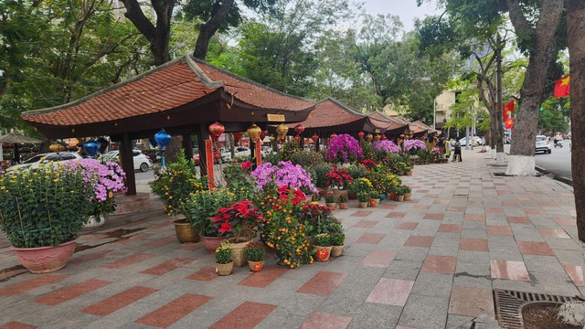 Hải Phòng rực rỡ sắc xuân trước thềm năm mới Bính Ngọ 2026- Ảnh 5.