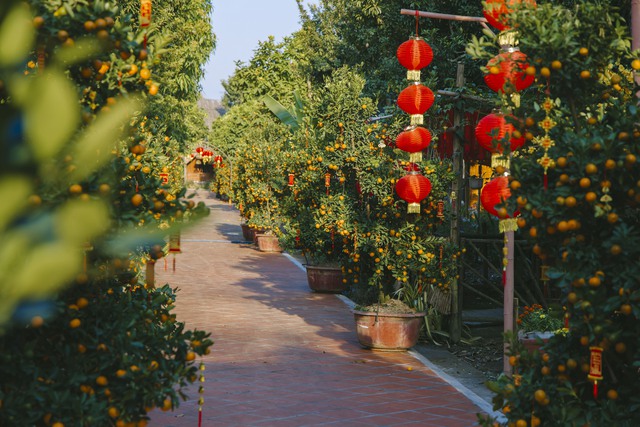 Nhiều điểm check-in hấp dẫn tại phim trường Tết trong Cantho Eco Resort với không gian Tết Việt và Tết Nam Bộ xưa- Ảnh 14.