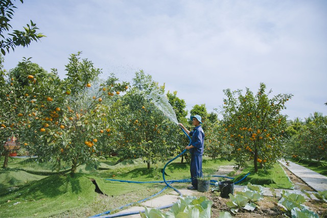 Nhiều điểm check-in hấp dẫn tại phim trường Tết trong Cantho Eco Resort với không gian Tết Việt và Tết Nam Bộ xưa- Ảnh 16.