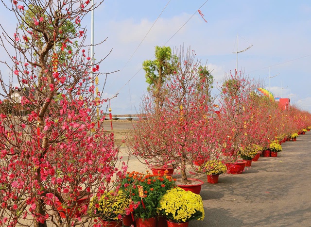 TP.HCM: "Siêu điểm đến" Cần Giờ sẽ đón 40 triệu lượt khách du Xuân mỗi năm- Ảnh 3.